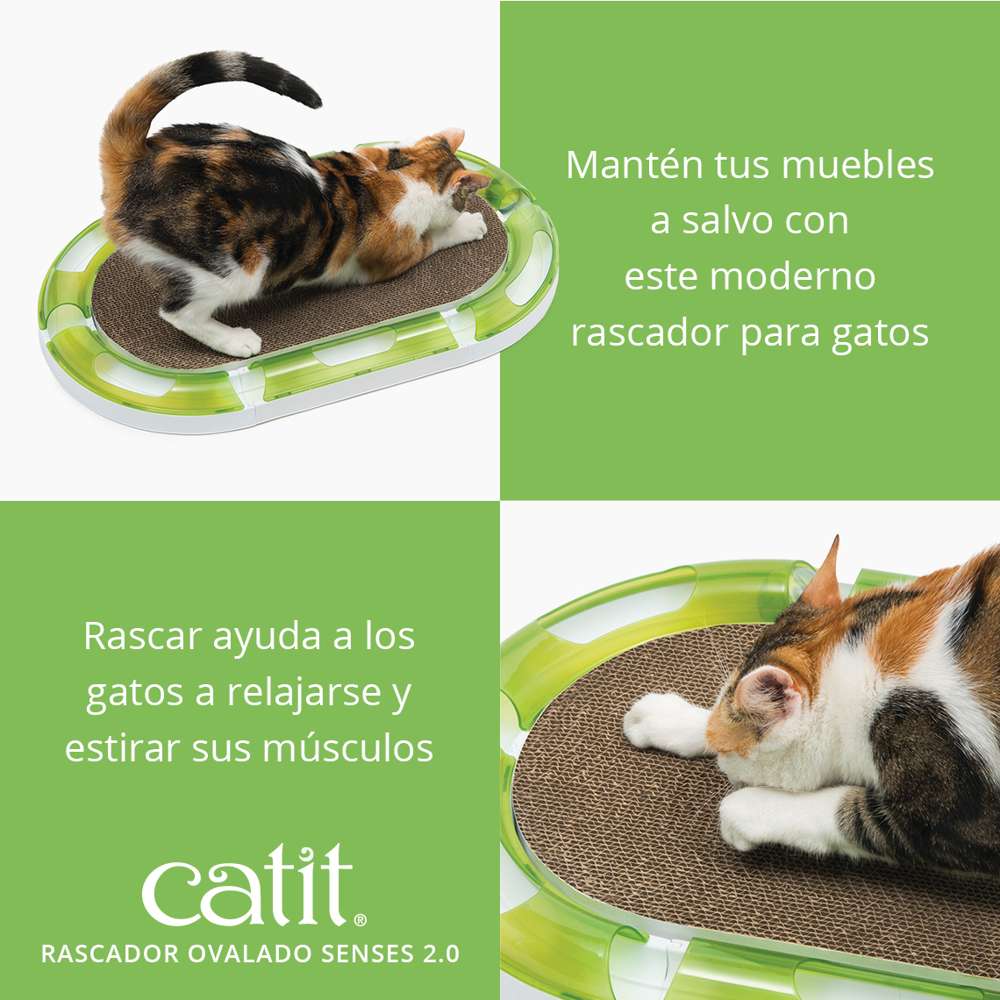 Imagen del producto 3