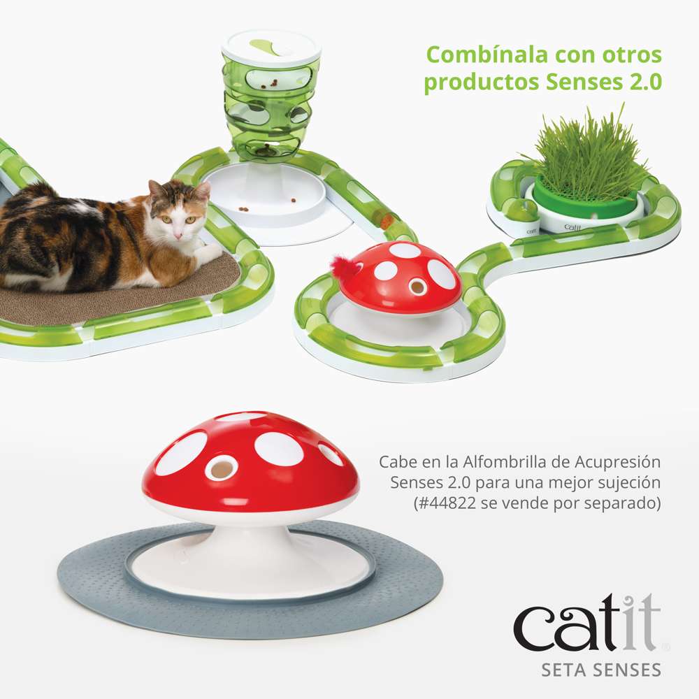 Imagen del producto 5