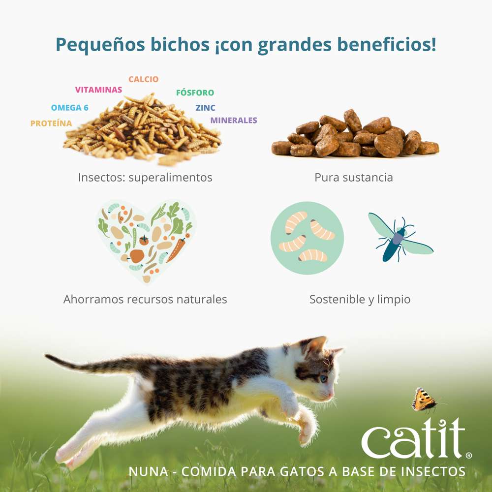 Imagen del producto 7