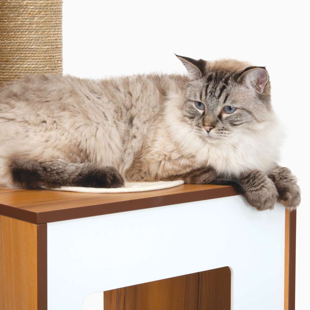 Imagen del producto 7